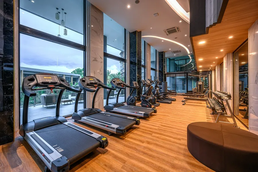 Panora (Mida Grande) Surin