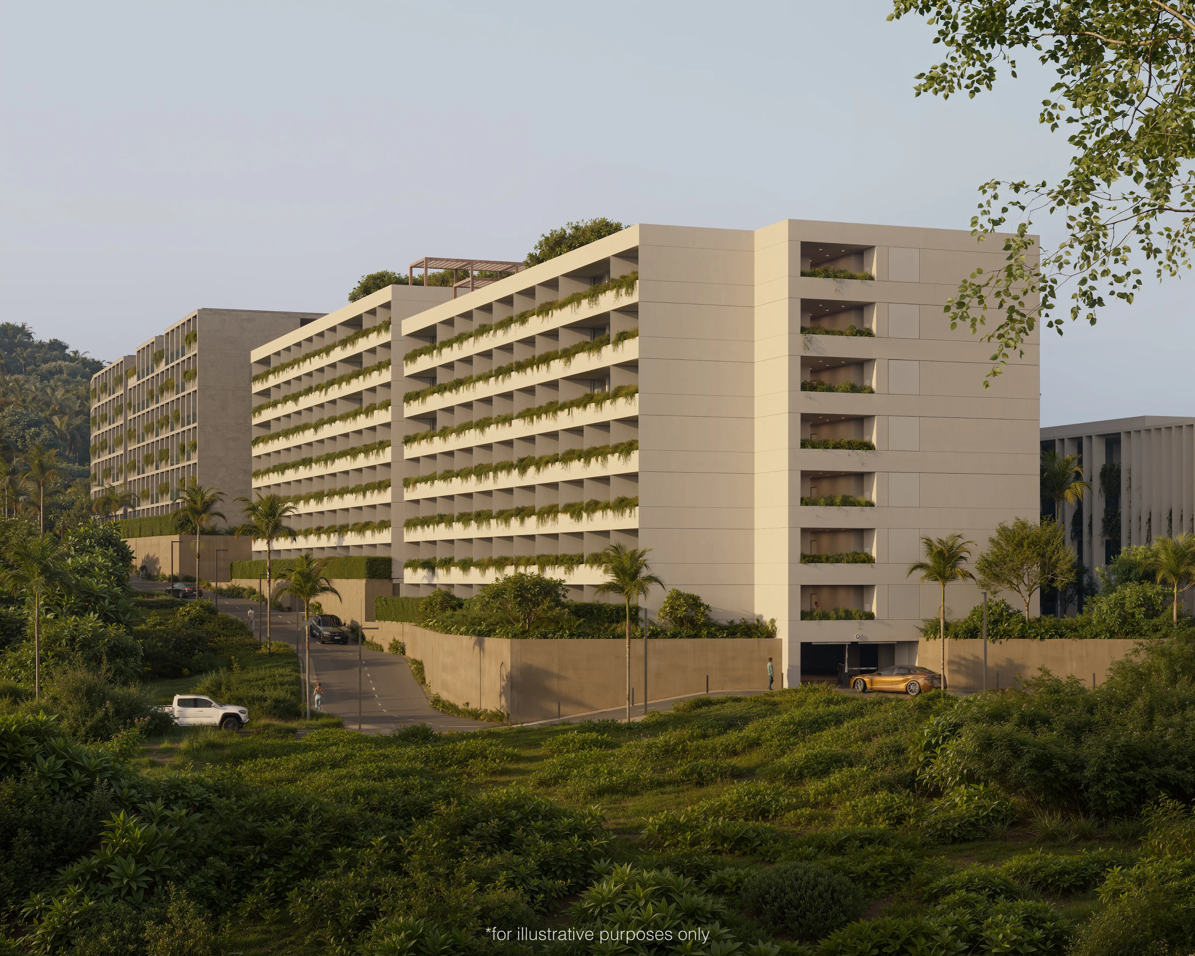 Serene Layan & Terra Grove