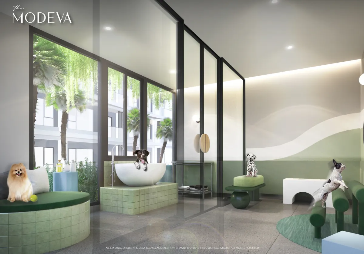 Title Modeva Bang Tao