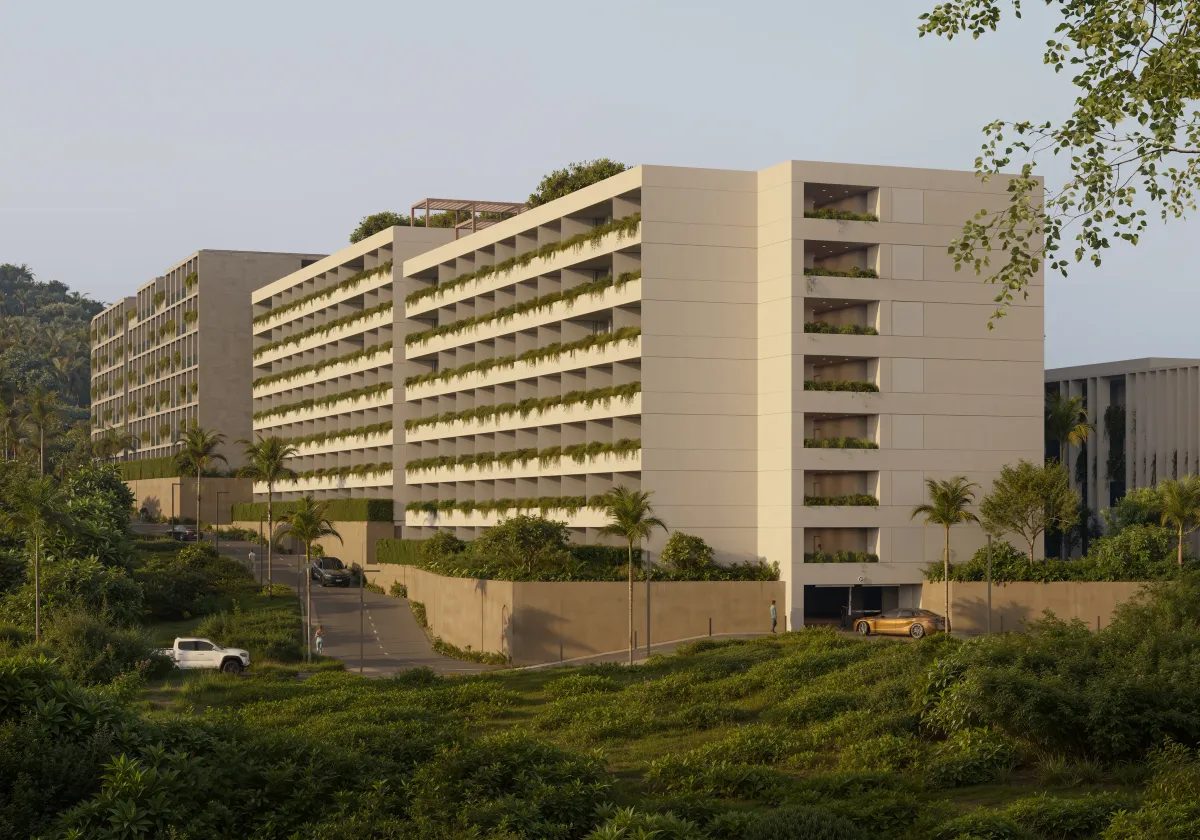 Serene Layan &amp; Terra Grove