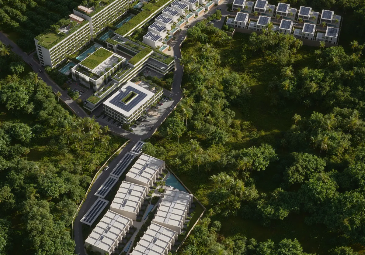 Serene Layan &amp; Terra Grove