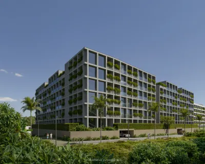 Serene Layan &amp; Terra Grove