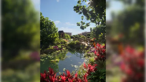 Laguna Lakelands Waterfront